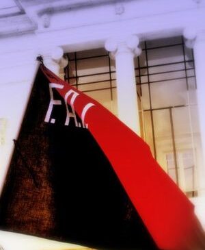La Federazione Anarchica Italiana: nelle lotte, per la rivoluzione sociale