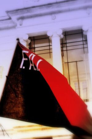La Federazione Anarchica Italiana: nelle lotte, per la rivoluzione sociale