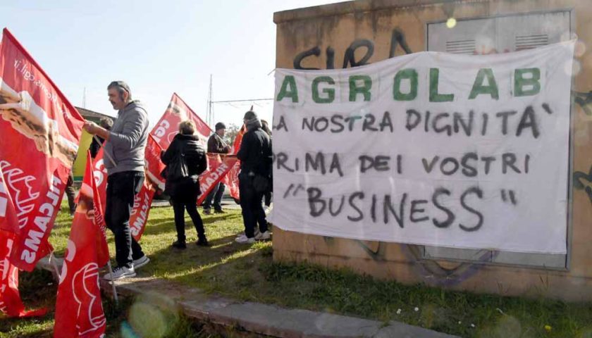 Agrolab di Carrara: laboratorio di disoccupazione.