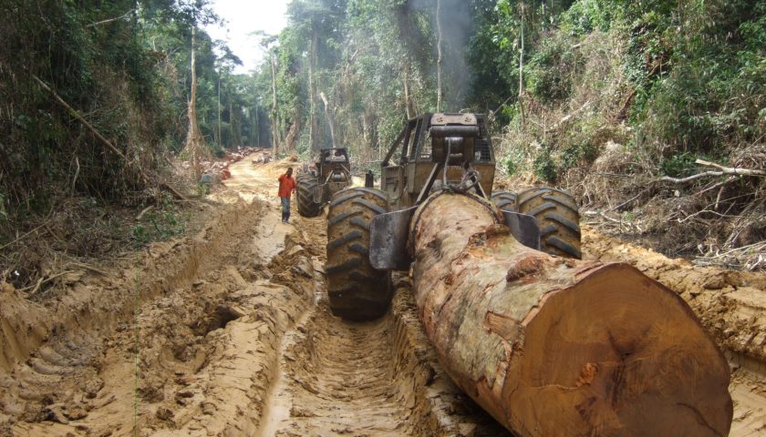 Il “secondo polmone” collassa. Speculazioni cinesi nella foresta pluviale del Congo.