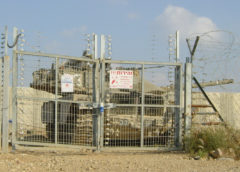 Palestina – fermare il genocidio.  Solidarietà internazionale 