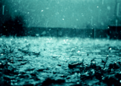 Un “Diluvio” di pagine da leggere
